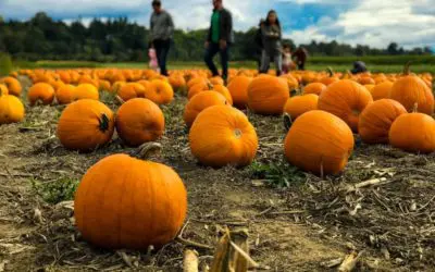 Get the Most out of Fall with These 21 Family Activities