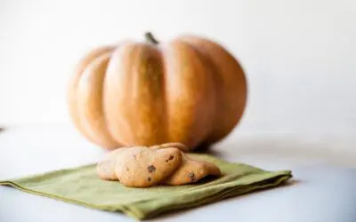 Your Fall Bucket List: Pumpkin Spice Cookies, Local Fairs, Bonfires, and More